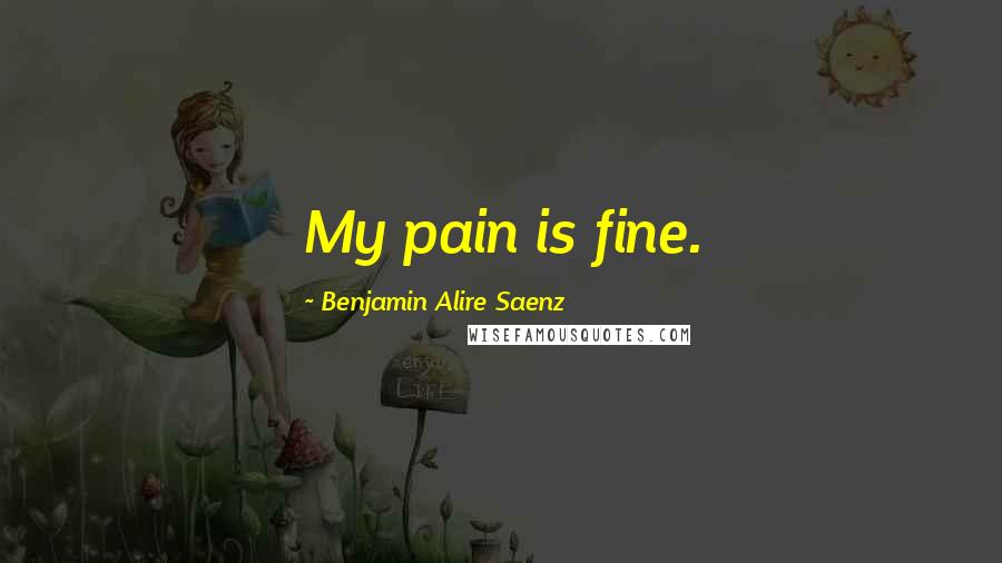 Benjamin Alire Saenz Quotes: My pain is fine.