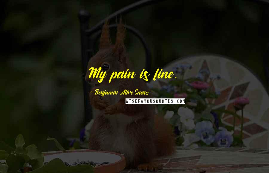 Benjamin Alire Saenz Quotes: My pain is fine.