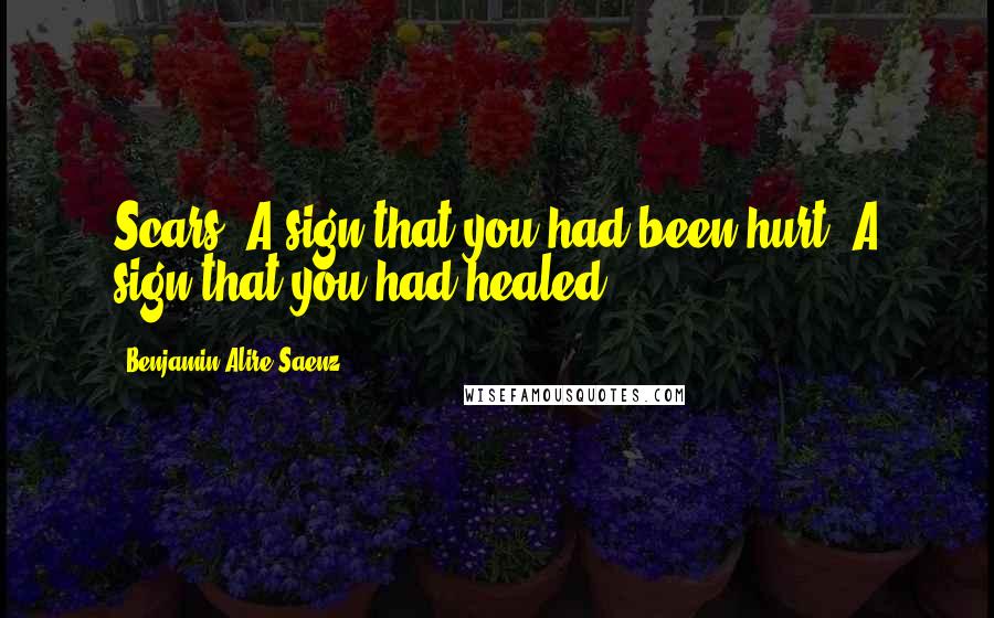 Benjamin Alire Saenz Quotes: Scars. A sign that you had been hurt. A sign that you had healed.