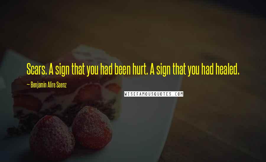 Benjamin Alire Saenz Quotes: Scars. A sign that you had been hurt. A sign that you had healed.