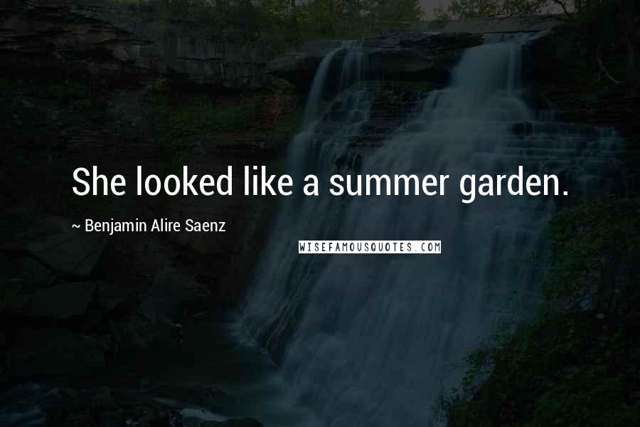 Benjamin Alire Saenz Quotes: She looked like a summer garden.