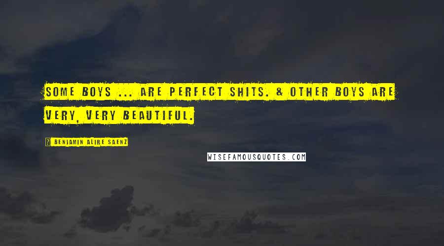 Benjamin Alire Saenz Quotes: Some boys ... Are perfect shits. & other boys are very, very beautiful.
