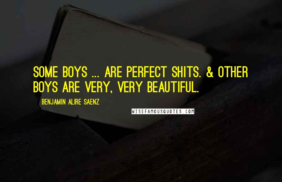 Benjamin Alire Saenz Quotes: Some boys ... Are perfect shits. & other boys are very, very beautiful.