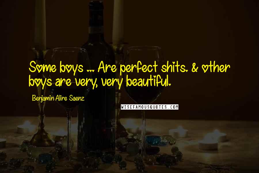 Benjamin Alire Saenz Quotes: Some boys ... Are perfect shits. & other boys are very, very beautiful.