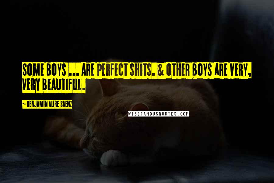 Benjamin Alire Saenz Quotes: Some boys ... Are perfect shits. & other boys are very, very beautiful.