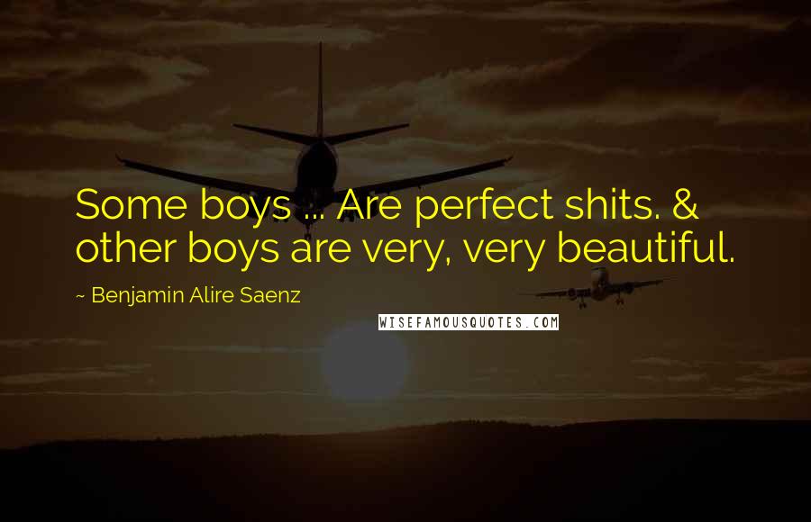 Benjamin Alire Saenz Quotes: Some boys ... Are perfect shits. & other boys are very, very beautiful.