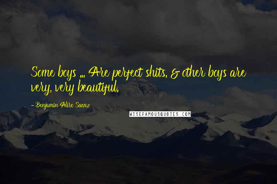 Benjamin Alire Saenz Quotes: Some boys ... Are perfect shits. & other boys are very, very beautiful.