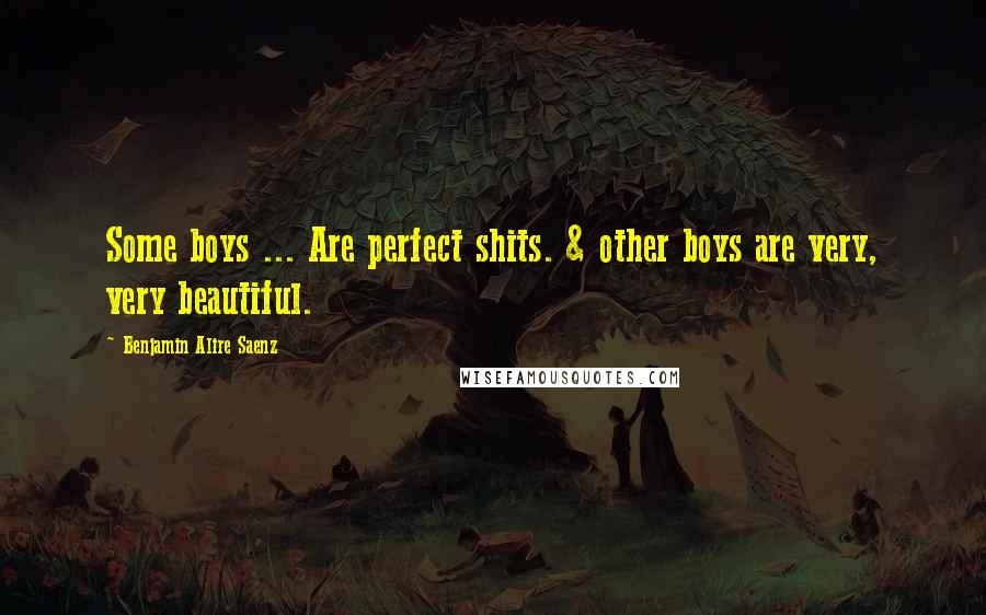 Benjamin Alire Saenz Quotes: Some boys ... Are perfect shits. & other boys are very, very beautiful.