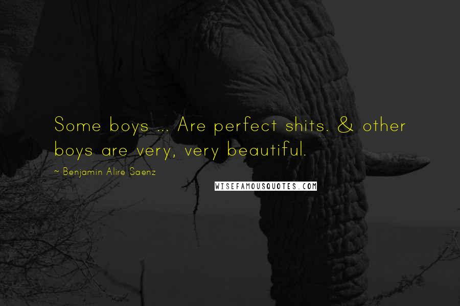 Benjamin Alire Saenz Quotes: Some boys ... Are perfect shits. & other boys are very, very beautiful.