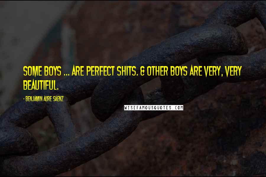 Benjamin Alire Saenz Quotes: Some boys ... Are perfect shits. & other boys are very, very beautiful.