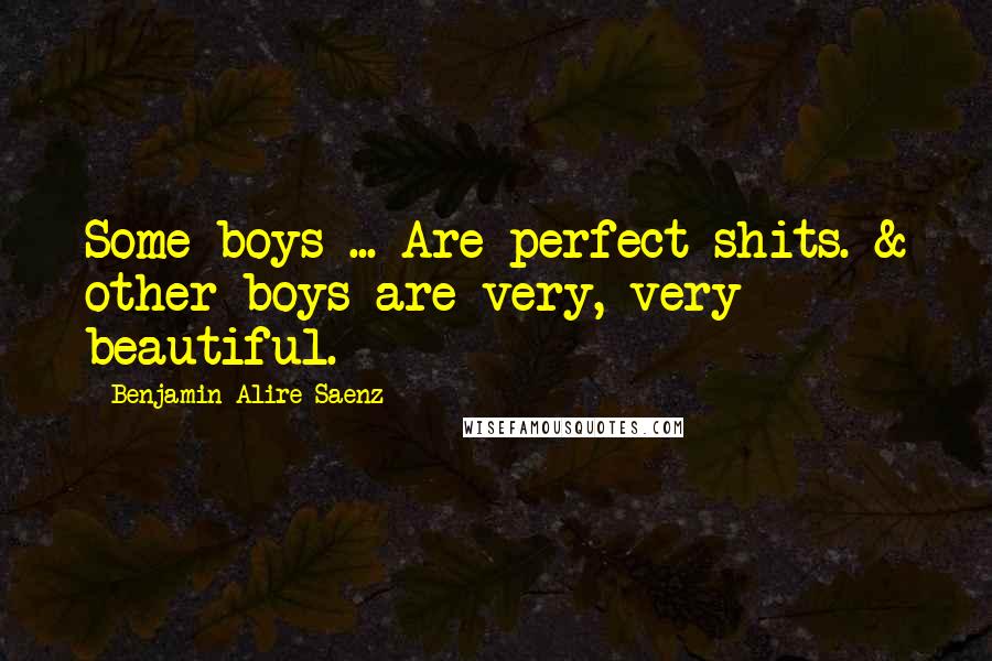 Benjamin Alire Saenz Quotes: Some boys ... Are perfect shits. & other boys are very, very beautiful.