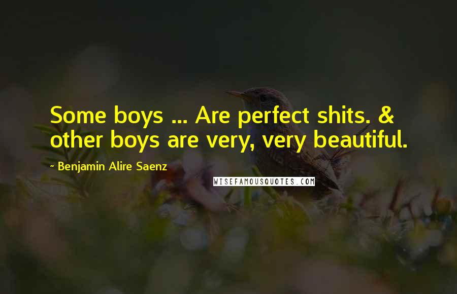 Benjamin Alire Saenz Quotes: Some boys ... Are perfect shits. & other boys are very, very beautiful.