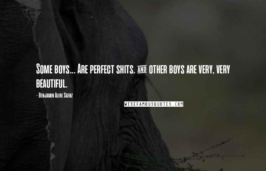 Benjamin Alire Saenz Quotes: Some boys... Are perfect shits. & other boys are very, very beautiful.