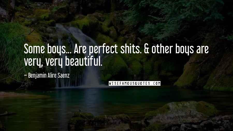 Benjamin Alire Saenz Quotes: Some boys... Are perfect shits. & other boys are very, very beautiful.