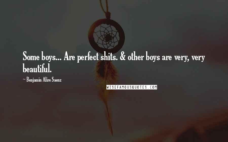 Benjamin Alire Saenz Quotes: Some boys... Are perfect shits. & other boys are very, very beautiful.