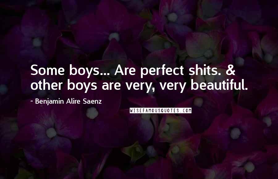 Benjamin Alire Saenz Quotes: Some boys... Are perfect shits. & other boys are very, very beautiful.