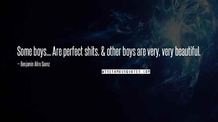 Benjamin Alire Saenz Quotes: Some boys... Are perfect shits. & other boys are very, very beautiful.
