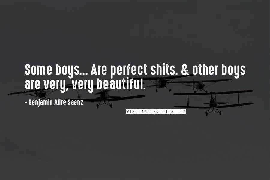 Benjamin Alire Saenz Quotes: Some boys... Are perfect shits. & other boys are very, very beautiful.