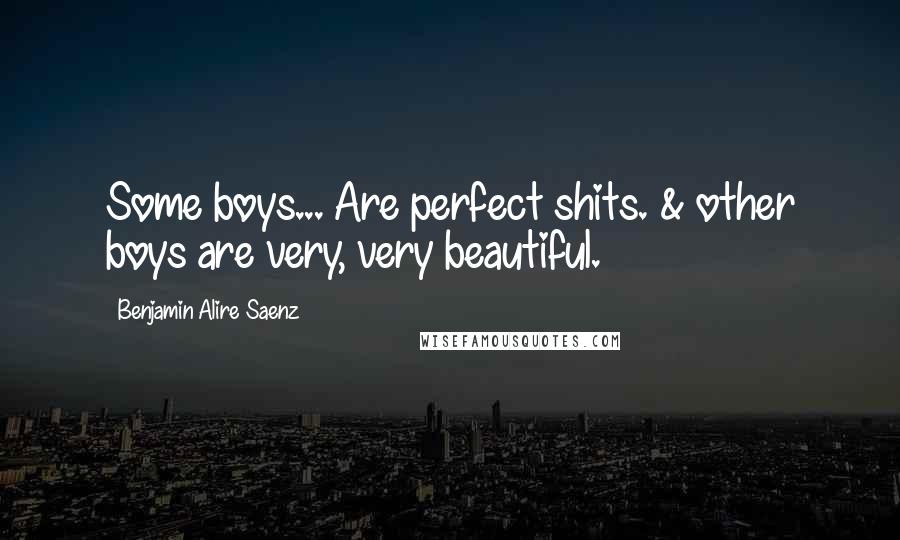 Benjamin Alire Saenz Quotes: Some boys... Are perfect shits. & other boys are very, very beautiful.