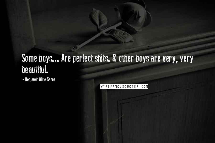 Benjamin Alire Saenz Quotes: Some boys... Are perfect shits. & other boys are very, very beautiful.