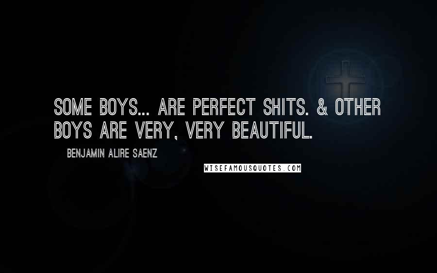 Benjamin Alire Saenz Quotes: Some boys... Are perfect shits. & other boys are very, very beautiful.