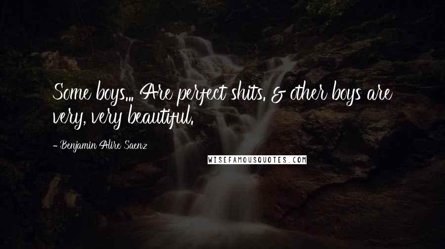 Benjamin Alire Saenz Quotes: Some boys... Are perfect shits. & other boys are very, very beautiful.