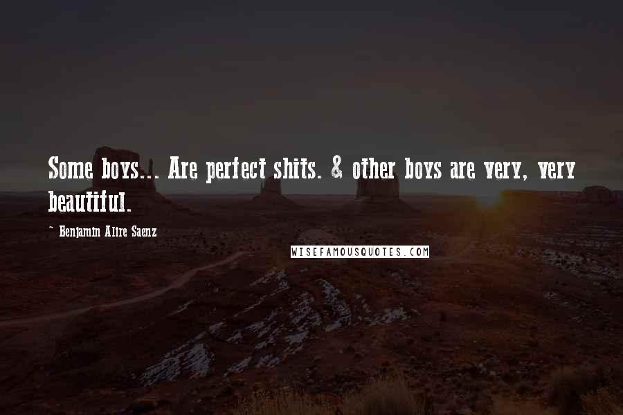 Benjamin Alire Saenz Quotes: Some boys... Are perfect shits. & other boys are very, very beautiful.