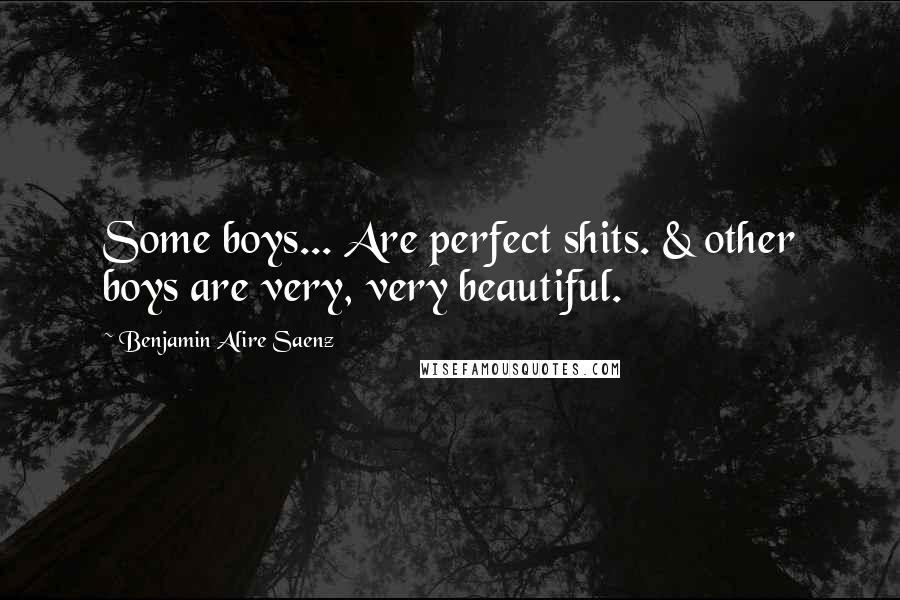 Benjamin Alire Saenz Quotes: Some boys... Are perfect shits. & other boys are very, very beautiful.