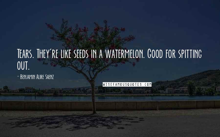 Benjamin Alire Saenz Quotes: Tears. They're like seeds in a watermelon. Good for spitting out.