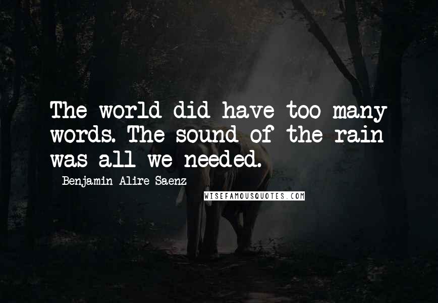 Benjamin Alire Saenz Quotes: The world did have too many words. The sound of the rain was all we needed.