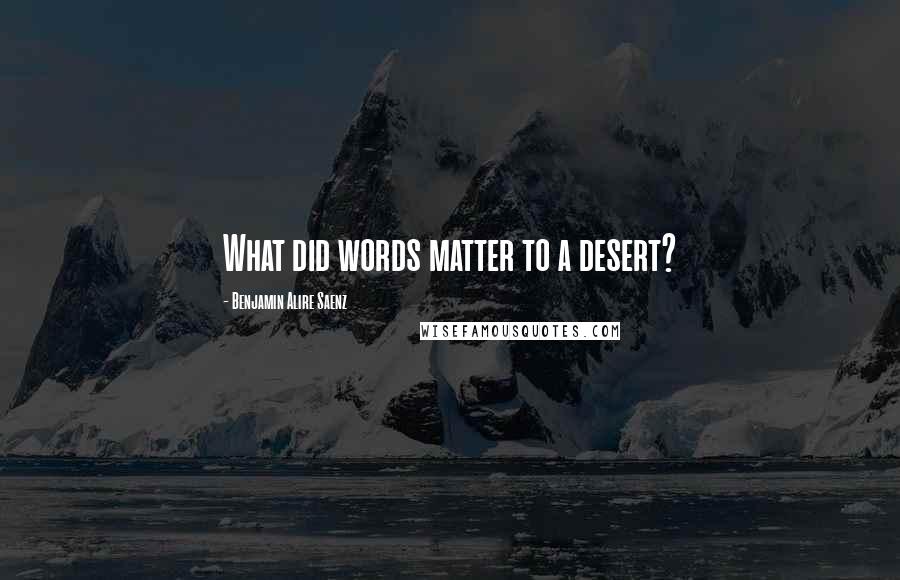 Benjamin Alire Saenz Quotes: What did words matter to a desert?