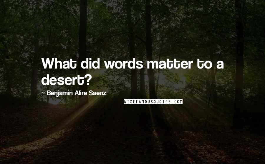 Benjamin Alire Saenz Quotes: What did words matter to a desert?