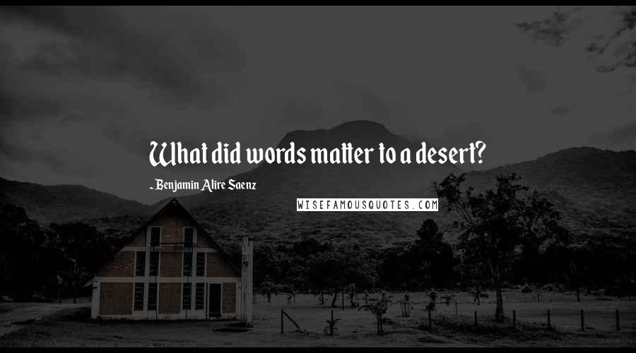 Benjamin Alire Saenz Quotes: What did words matter to a desert?