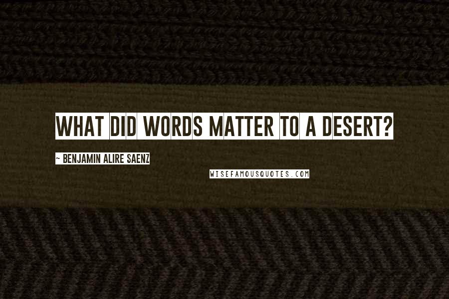 Benjamin Alire Saenz Quotes: What did words matter to a desert?