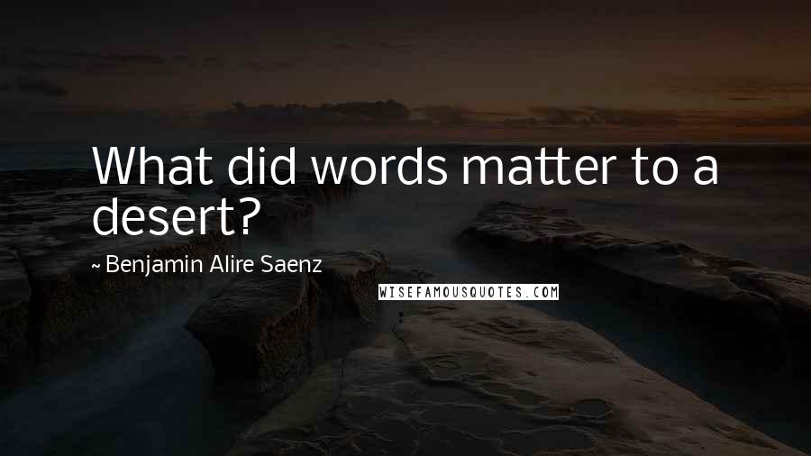 Benjamin Alire Saenz Quotes: What did words matter to a desert?