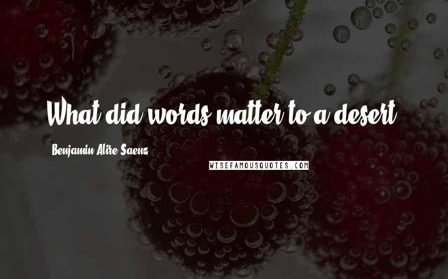 Benjamin Alire Saenz Quotes: What did words matter to a desert?