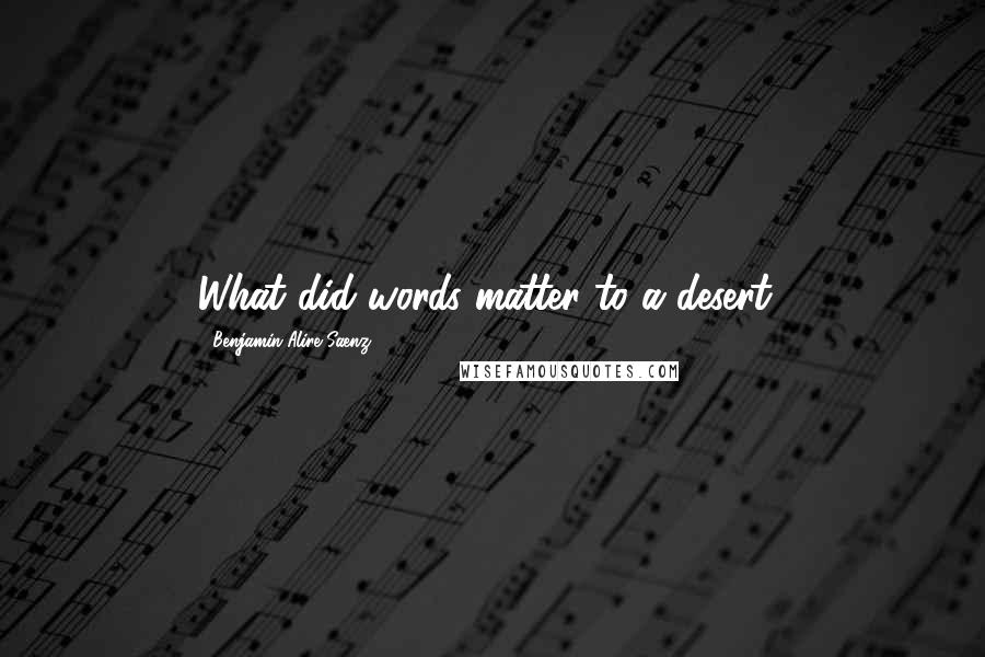 Benjamin Alire Saenz Quotes: What did words matter to a desert?