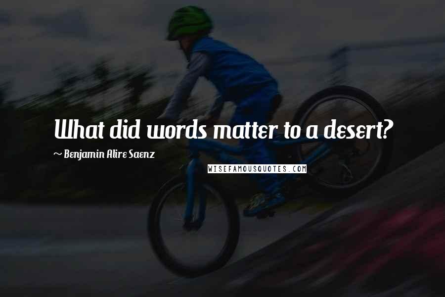 Benjamin Alire Saenz Quotes: What did words matter to a desert?