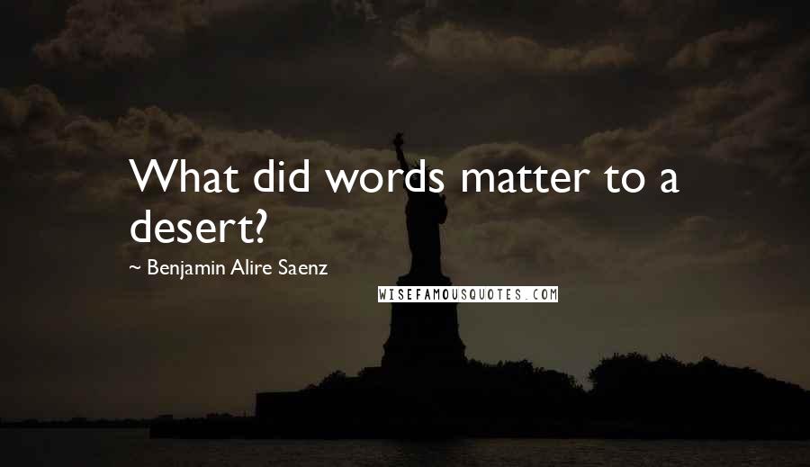 Benjamin Alire Saenz Quotes: What did words matter to a desert?