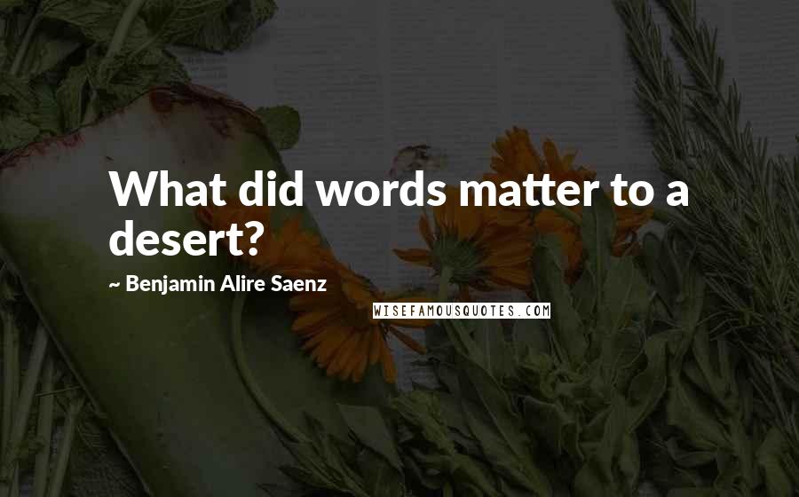 Benjamin Alire Saenz Quotes: What did words matter to a desert?