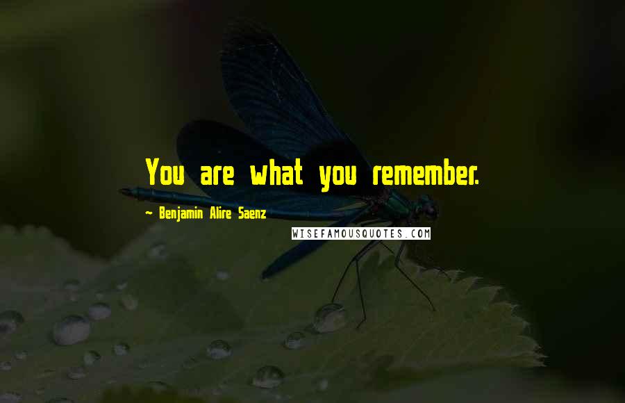 Benjamin Alire Saenz Quotes: You are what you remember.