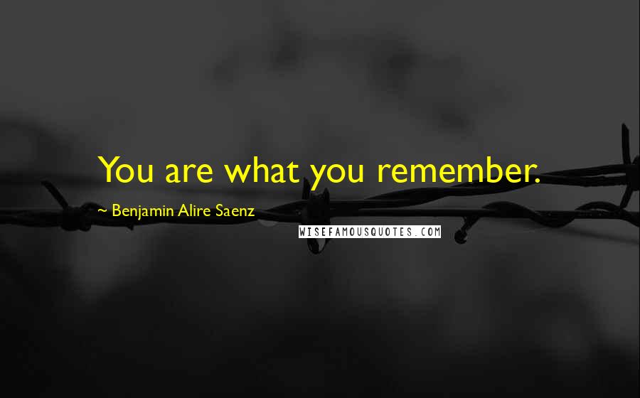 Benjamin Alire Saenz Quotes: You are what you remember.