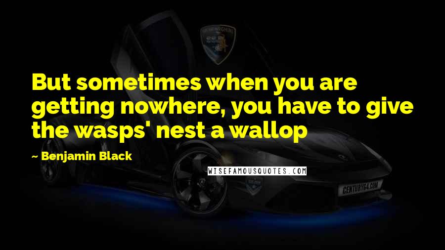 Benjamin Black Quotes: But sometimes when you are getting nowhere, you have to give the wasps' nest a wallop