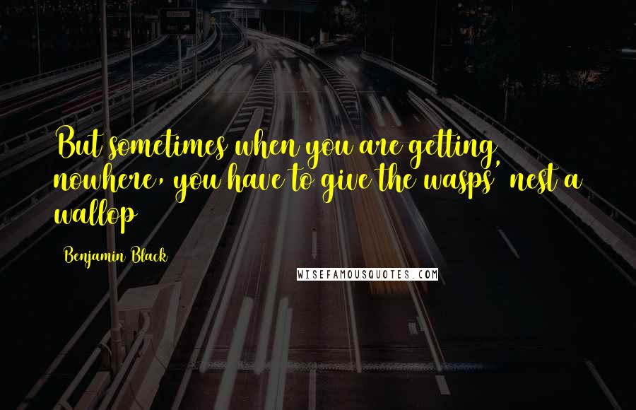 Benjamin Black Quotes: But sometimes when you are getting nowhere, you have to give the wasps' nest a wallop