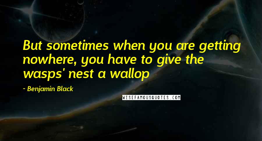 Benjamin Black Quotes: But sometimes when you are getting nowhere, you have to give the wasps' nest a wallop