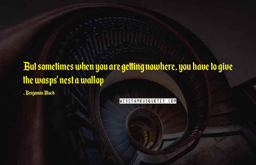 Benjamin Black Quotes: But sometimes when you are getting nowhere, you have to give the wasps' nest a wallop