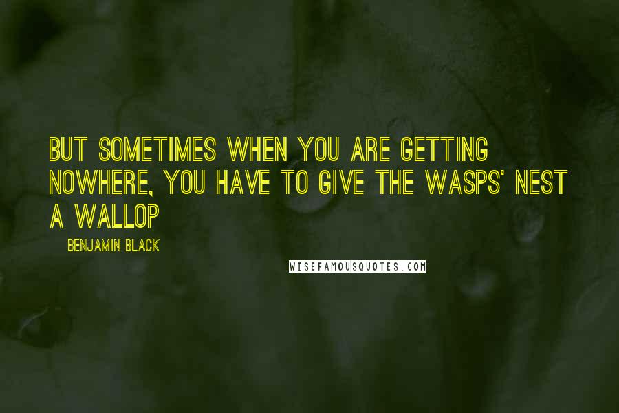 Benjamin Black Quotes: But sometimes when you are getting nowhere, you have to give the wasps' nest a wallop