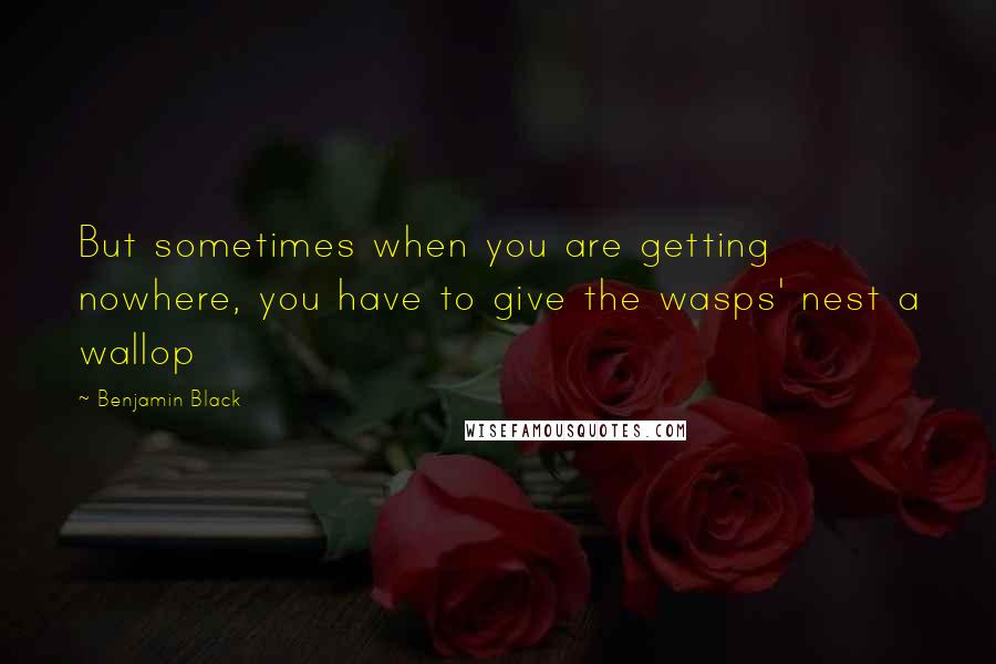 Benjamin Black Quotes: But sometimes when you are getting nowhere, you have to give the wasps' nest a wallop