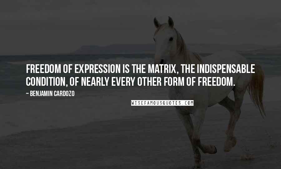 Benjamin Cardozo Quotes: Freedom of expression is the matrix, the indispensable condition, of nearly every other form of freedom.