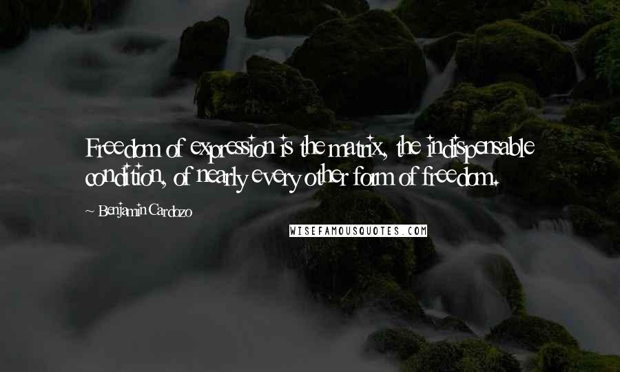 Benjamin Cardozo Quotes: Freedom of expression is the matrix, the indispensable condition, of nearly every other form of freedom.
